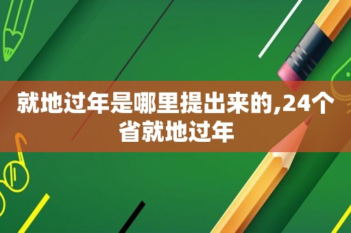 就地过年是哪里提出来的,24个省就地过年