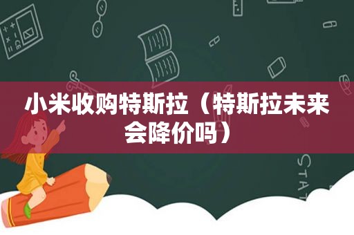 小米收购特斯拉（特斯拉未来会降价吗）