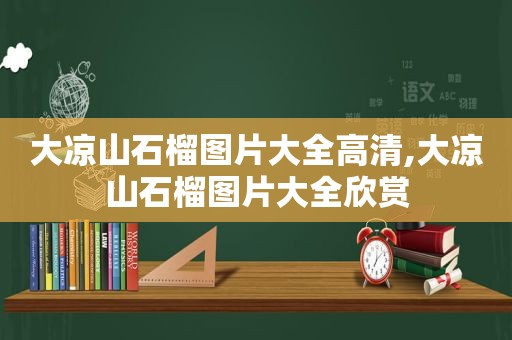 大凉山石榴图片大全高清,大凉山石榴图片大全欣赏