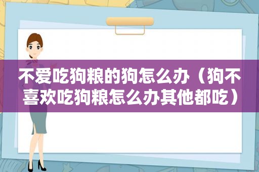 不爱吃狗粮的狗怎么办（狗不喜欢吃狗粮怎么办其他都吃）