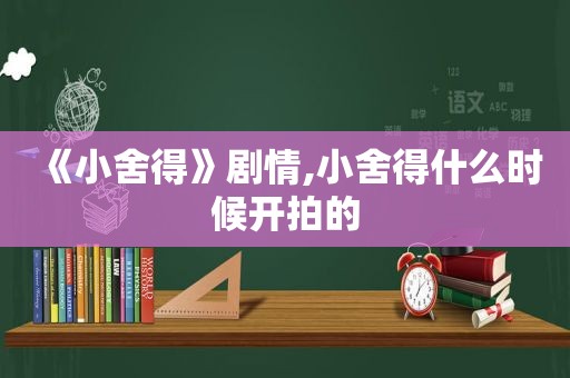 《小舍得》剧情,小舍得什么时候开拍的