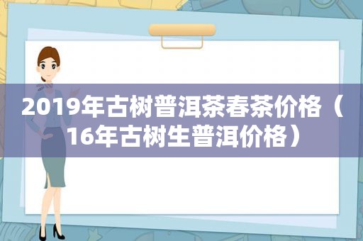 2019年古树普洱茶春茶价格（16年古树生普洱价格）  第1张