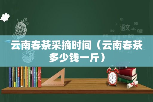 云南春茶采摘时间（云南春茶多少钱一斤）  第1张