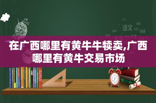 在广西哪里有黄牛牛犊卖,广西哪里有黄牛交易市场  第1张