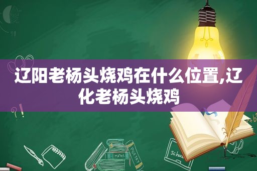 辽阳老杨头烧鸡在什么位置,辽化老杨头烧鸡