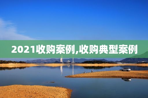 2021收购案例,收购典型案例