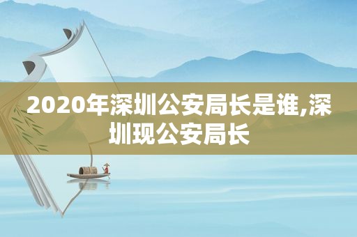 2020年深圳公安局长是谁,深圳现公安局长