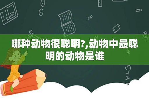 哪种动物很聪明?,动物中最聪明的动物是谁