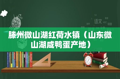 滕州微山湖红荷水镇（山东微山湖咸鸭蛋产地）