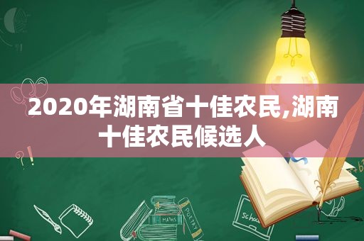 2020年湖南省十佳农民,湖南十佳农民候选人  第1张