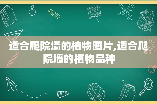 适合爬院墙的植物图片,适合爬院墙的植物品种