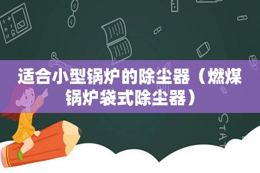 适合小型锅炉的除尘器（燃煤锅炉袋式除尘器）