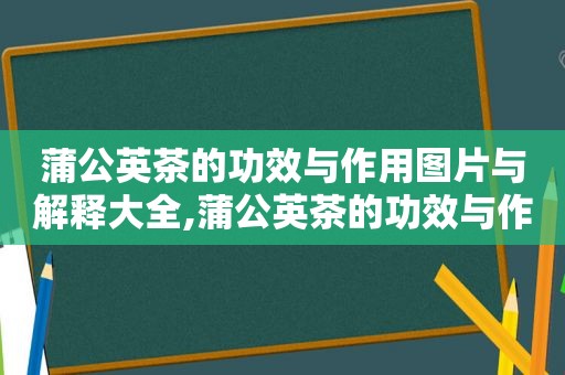 蒲公英茶的功效与作用图片与解释大全,蒲公英茶的功效与作用图片与解释视频