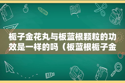 栀子金花丸与板蓝根颗粒的功效是一样的吗（板蓝根栀子金银花泡水）