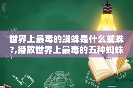 世界上最毒的蜘蛛是什么蜘蛛?,播放世界上最毒的五种蜘蛛