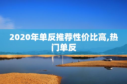 2020年单反推荐性价比高,热门单反