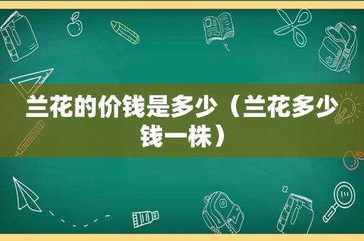 兰花的价钱是多少（兰花多少钱一株）