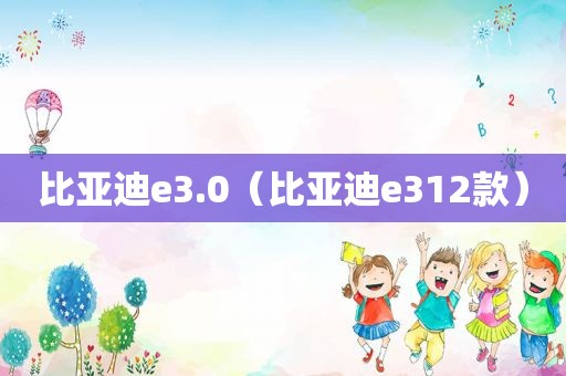 比亚迪e3.0（比亚迪e312款）