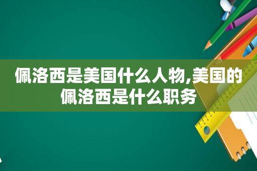 佩洛西是美国什么人物,美国的佩洛西是什么职务