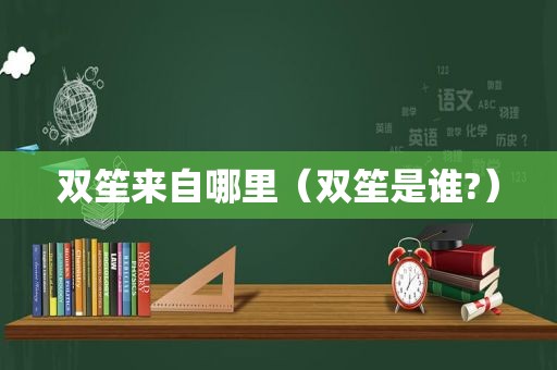 双笙来自哪里（双笙是谁?）