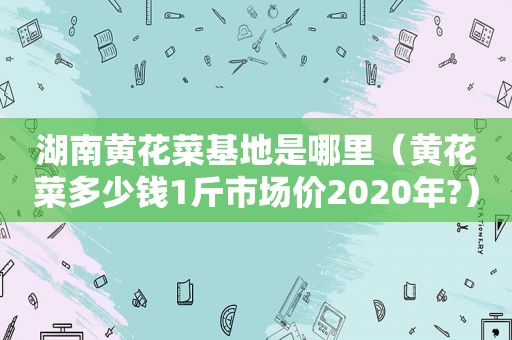 湖南黄花菜基地是哪里（黄花菜多少钱1斤市场价2020年?）  第1张