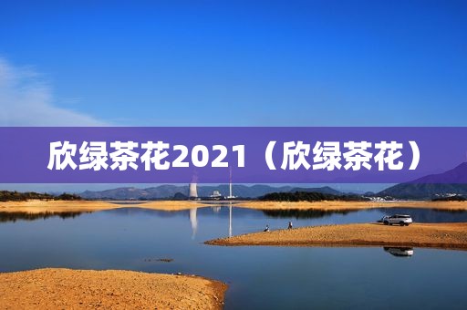 欣绿茶花2021（欣绿茶花）