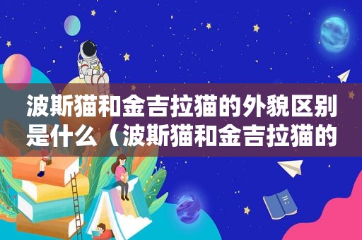 波斯猫和金吉拉猫的外貌区别是什么（波斯猫和金吉拉猫的外貌区别在哪）