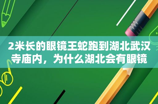 2米长的眼镜王蛇跑到湖北武汉寺庙内，为什么湖北会有眼镜王蛇？