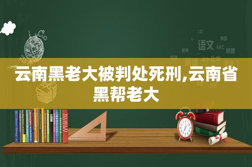 云南黑老大被判处死刑,云南省黑帮老大