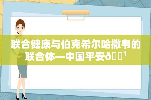 联合健康与伯克希尔哈撒韦的联合体—中国平安🌹