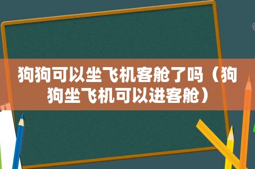 狗狗可以坐飞机客舱了吗（狗狗坐飞机可以进客舱）