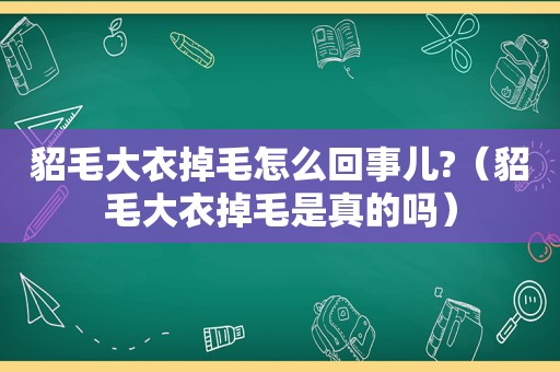 貂毛大衣掉毛怎么回事儿?（貂毛大衣掉毛是真的吗）