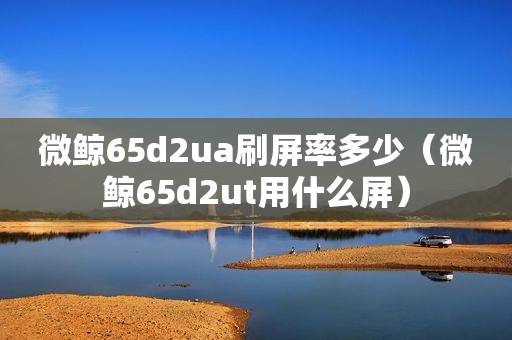 微鲸65d2ua刷屏率多少（微鲸65d2ut用什么屏）