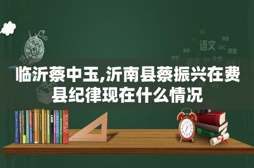 临沂蔡中玉,沂南县蔡振兴在费县纪律现在什么情况