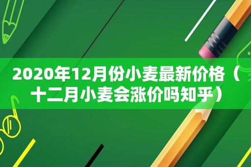 2020年12月份小麦最新价格（十二月小麦会涨价吗知乎）