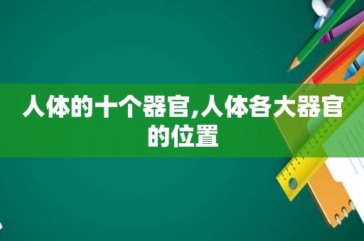 人体的十个器官,人体各大器官的位置  第1张