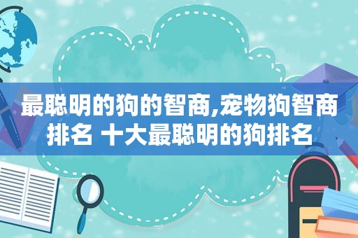 最聪明的狗的智商,宠物狗智商排名 十大最聪明的狗排名