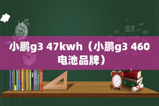 小鹏g3 47kwh（小鹏g3 460 电池品牌）