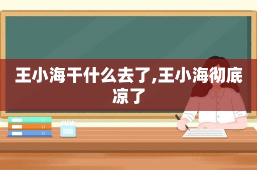 王小海干什么去了,王小海彻底凉了