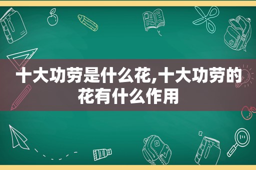 十大功劳是什么花,十大功劳的花有什么作用