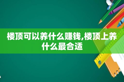 楼顶可以养什么赚钱,楼顶上养什么最合适