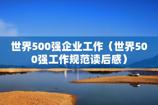 世界500强企业工作（世界500强工作规范读后感）