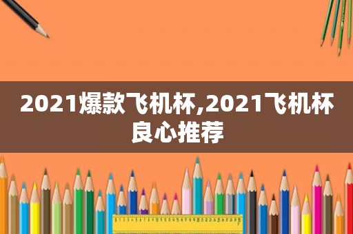 2021爆款飞机杯,2021飞机杯良心推荐