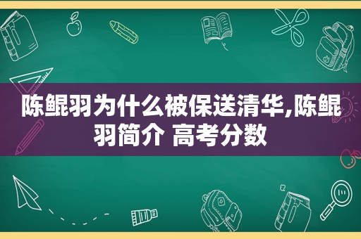 陈鲲羽为什么被保送清华,陈鲲羽简介 高考分数