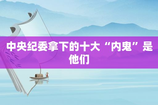 中央纪委拿下的十大“内鬼”是他们