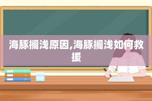 海豚搁浅原因,海豚搁浅如何救援