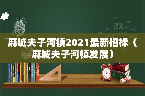 麻城夫子河镇2021最新招标（麻城夫子河镇发展）