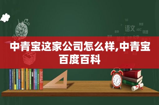 中青宝这家公司怎么样,中青宝百度百科  第1张