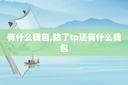 有什么钱包,除了tp还有什么钱包  第1张