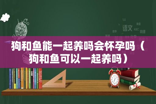 狗和鱼能一起养吗会怀孕吗（狗和鱼可以一起养吗）